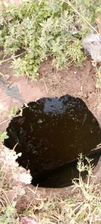 Honey Sucker for hire