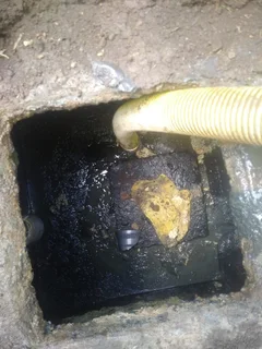 Empty Septic Tank- Honey sucker