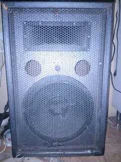 12 inch speaker