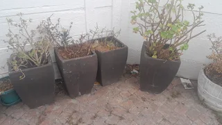 Concrete planter