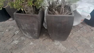 Concrete planter