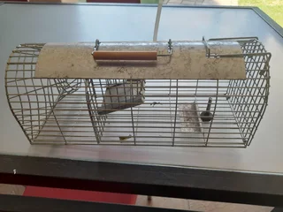 Rat trap
