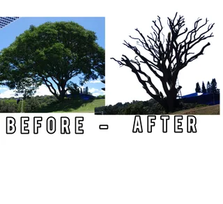 4 ton truck for hire