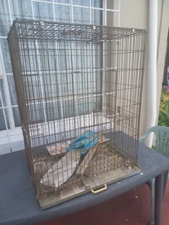 Parrot Cage For Sale