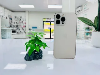 iPhone 13 Pro Max 128GB - R10,000