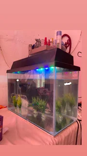 Fish tank