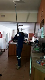 Professional painter