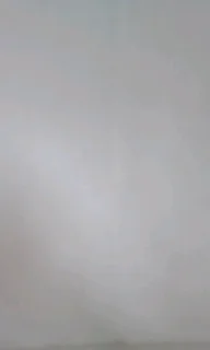 Professional painter