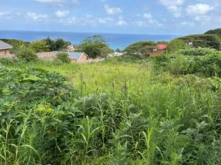 We selling  a plot 1057sqm ,  in Hibberdene Woodgrange ,please call if you have an offer urgently