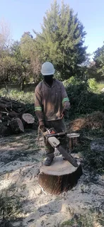 Madondo Tree Felling Services
