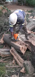 Madondo Tree Felling Services