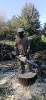 Madondo Tree Felling Services