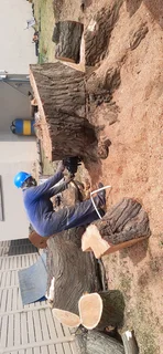 Madondo Tree Felling Services