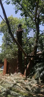 Madondo Tree Felling Services