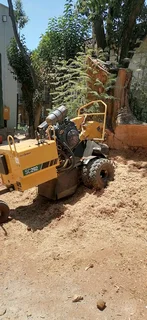 Madondo Tree Felling Services