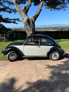 1969 VW Beetle