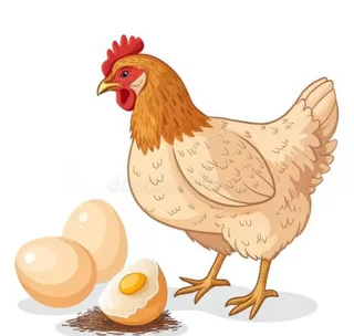 Chicken, Eggs and Feed for sale