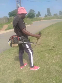 Am Urgently Looking for a Job as a Gardener, Painter or General Worker