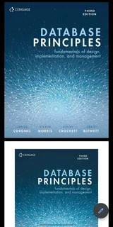 Data Principles: Fundamentals of Design, Implementation and Management 3rd edition