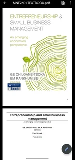 Entrepreneurship and Small Business Managemen: An Emerging Economies Perspective