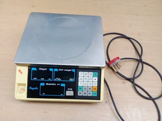 Nagata digital weight scale