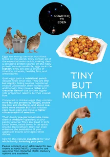 Table Quail Eggs Two Dozen