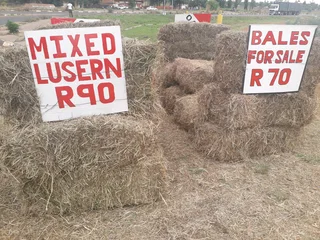 Plain Grass bales R70, grass and lucerne mix R90
