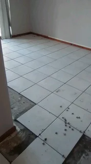 Construction and projects