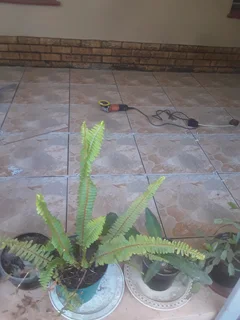 Construction and projects