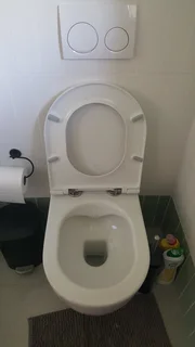 Plumber and Handyman Services