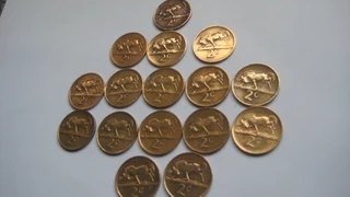 Coins - SA 2c