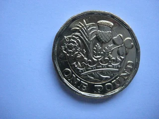 Coin -2016 UK 1 pound.