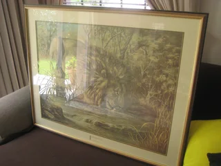 Picture - Ad posted by Jan Derek