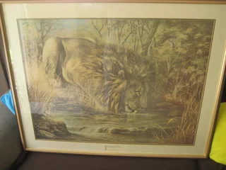 Picture - Ad posted by Jan Derek