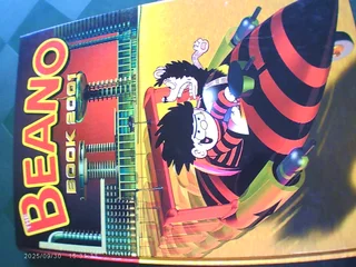 2001 Beano Annual