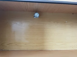 Reptile Enclosure (Snake NOT included)