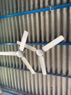 Ceiling Fans