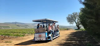 Party Bike Driver Part Time