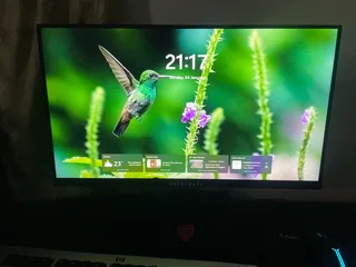 Rogueware 22inch monitor