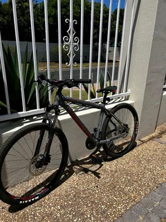 Silver Back Mountain Bike