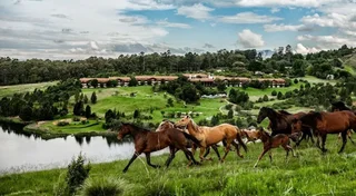 Holiday at Drakensburg Sun