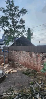 Tree Removal And Palm Trees Pruning