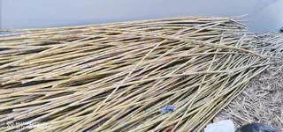 POLES AND LOOSE STICKS