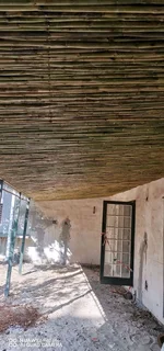 POLES AND LOOSE STICKS