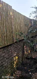 POLES AND LOOSE STICKS