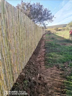 POLES AND LOOSE STICKS