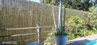 POLES AND LOOSE STICKS