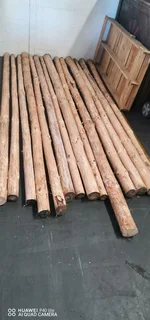 POLES AND LOOSE STICKS