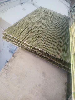 Wood and Bamboo fencing