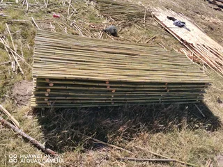 Wood and Bamboo fencing